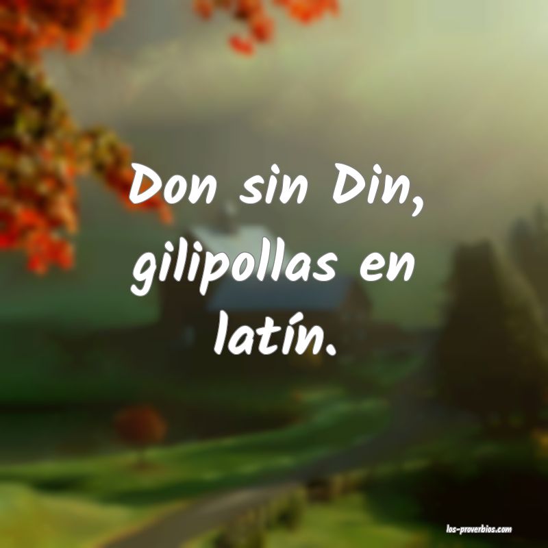 Don sin Din, gilipollas en latín.
