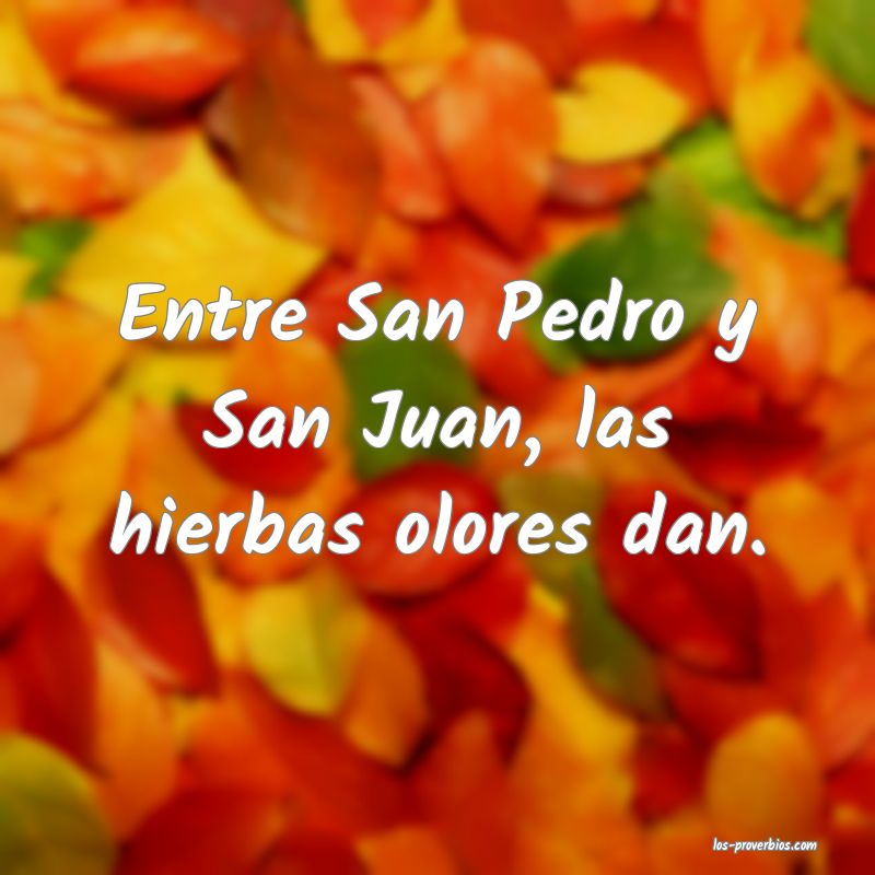 Entre San Pedro y San Juan, las hierbas olores dan.
