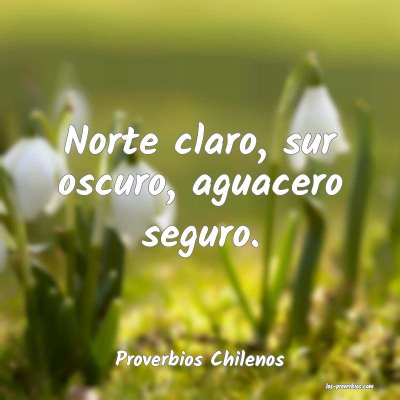 Proverbios Chilenos