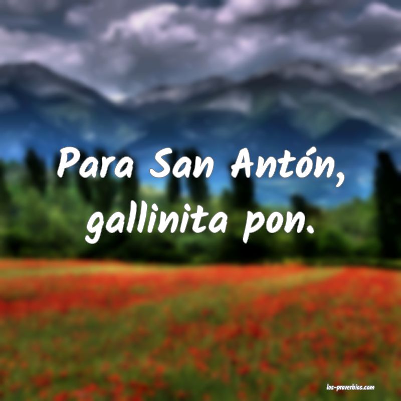 Para San Antón, gallinita pon.
