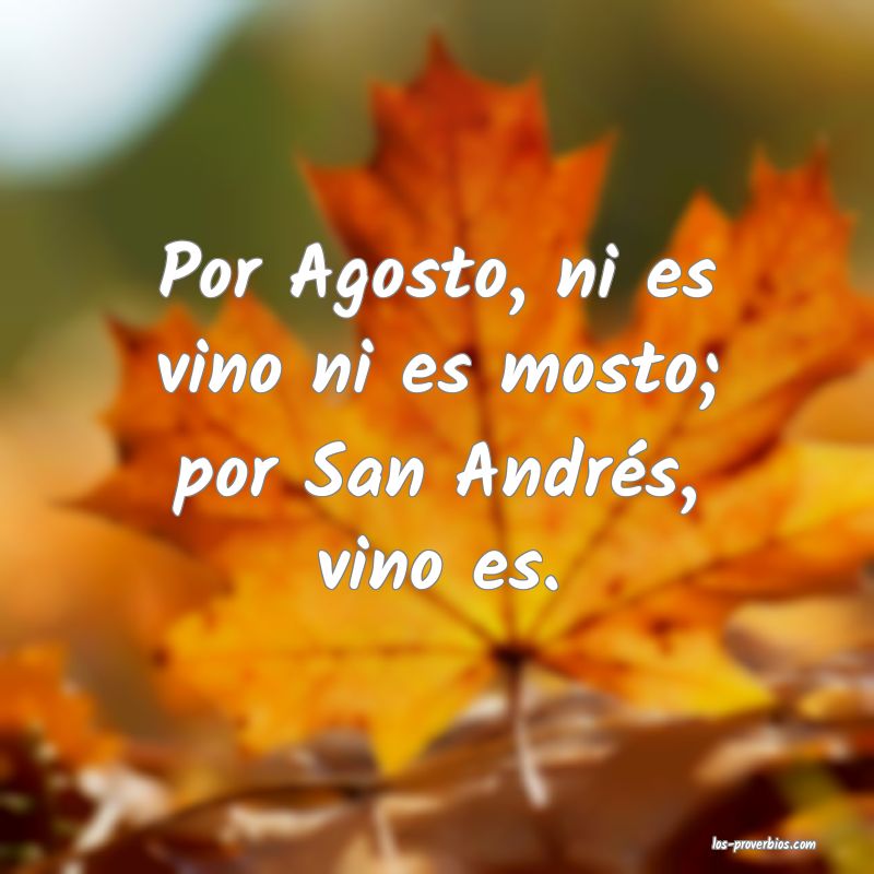 Por Agosto, ni es vino ni es mosto; por San Andrés, vino es.
