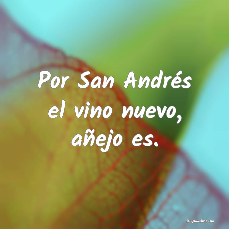 Por San Andrés el vino nuevo, añejo es.
