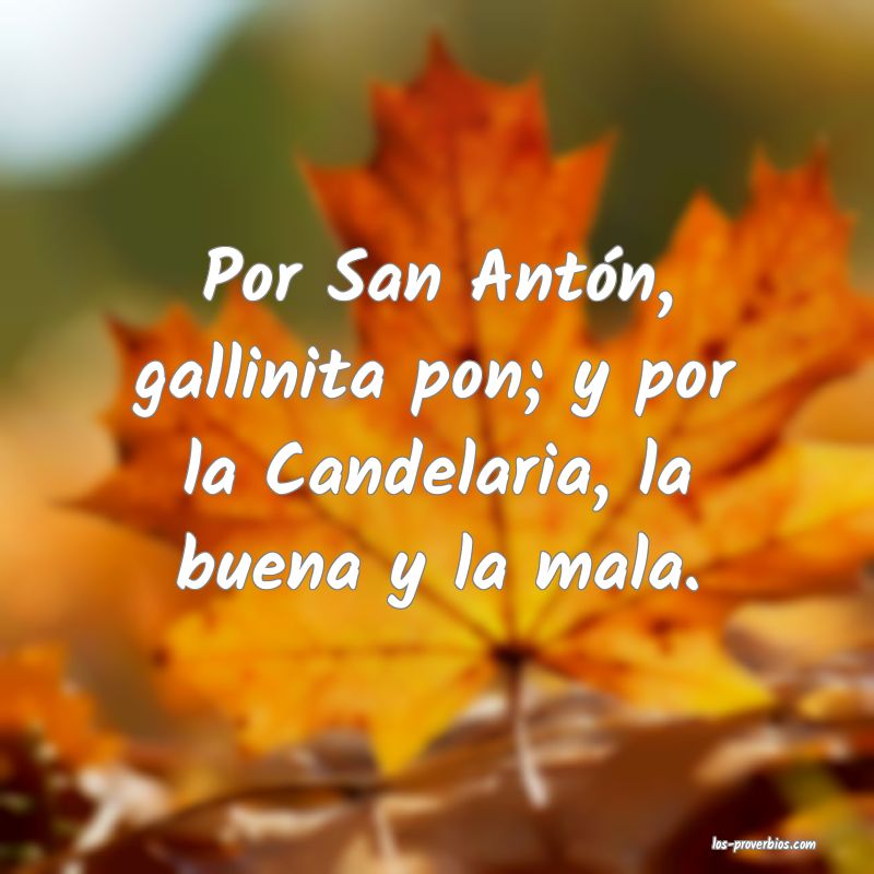 Por San Antón, gallinita pon; y por la Candelaria, la buena y la mala.

