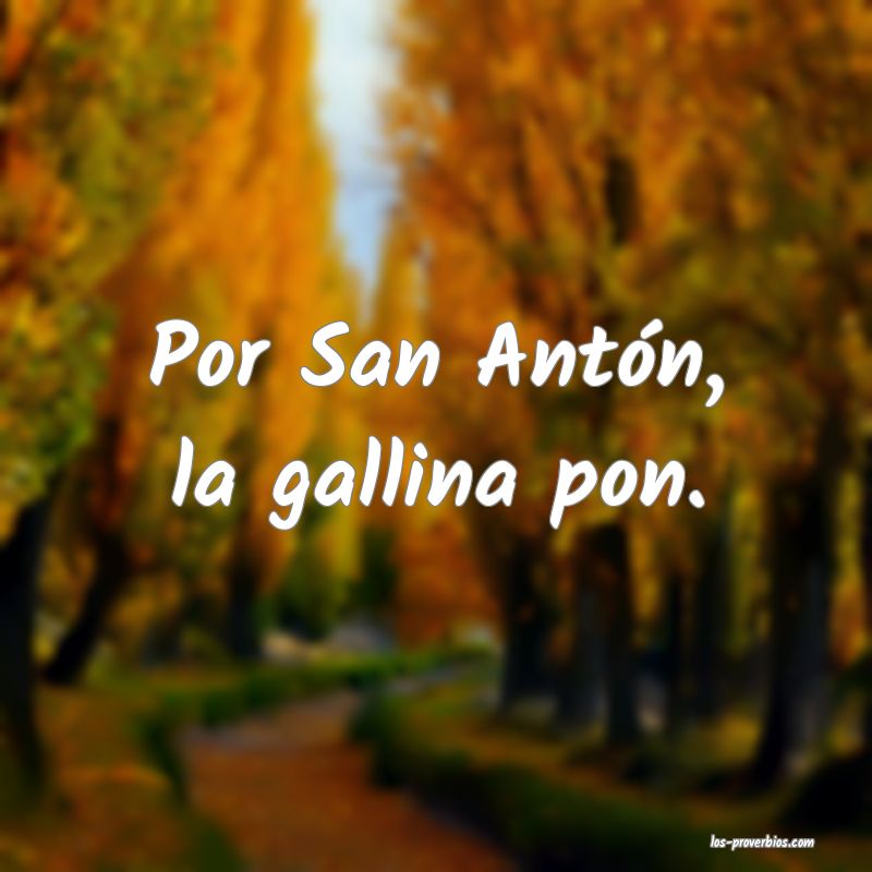 Por San Antón, la gallina pon.
