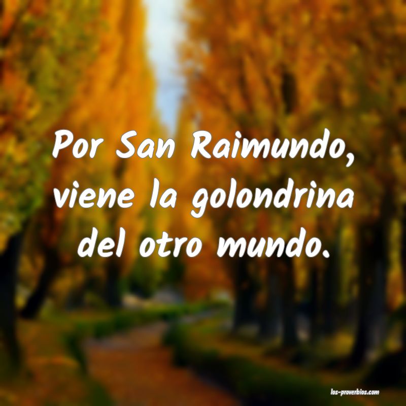 Por San Raimundo, viene la golondrina del otro mundo.
