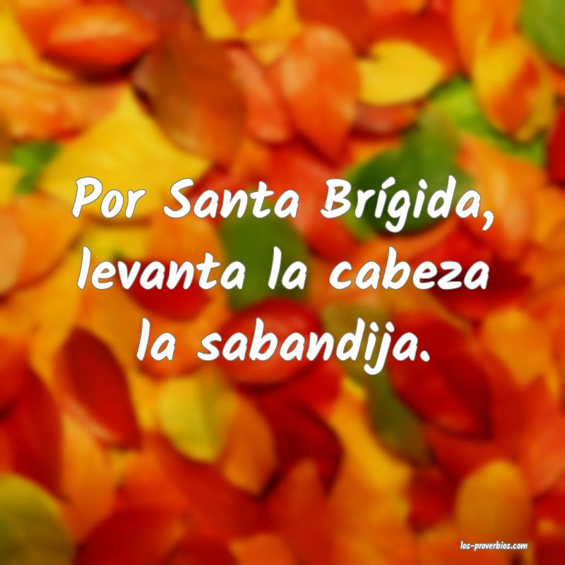 Por Santa Brígida, levanta la cabeza la sabandija.
