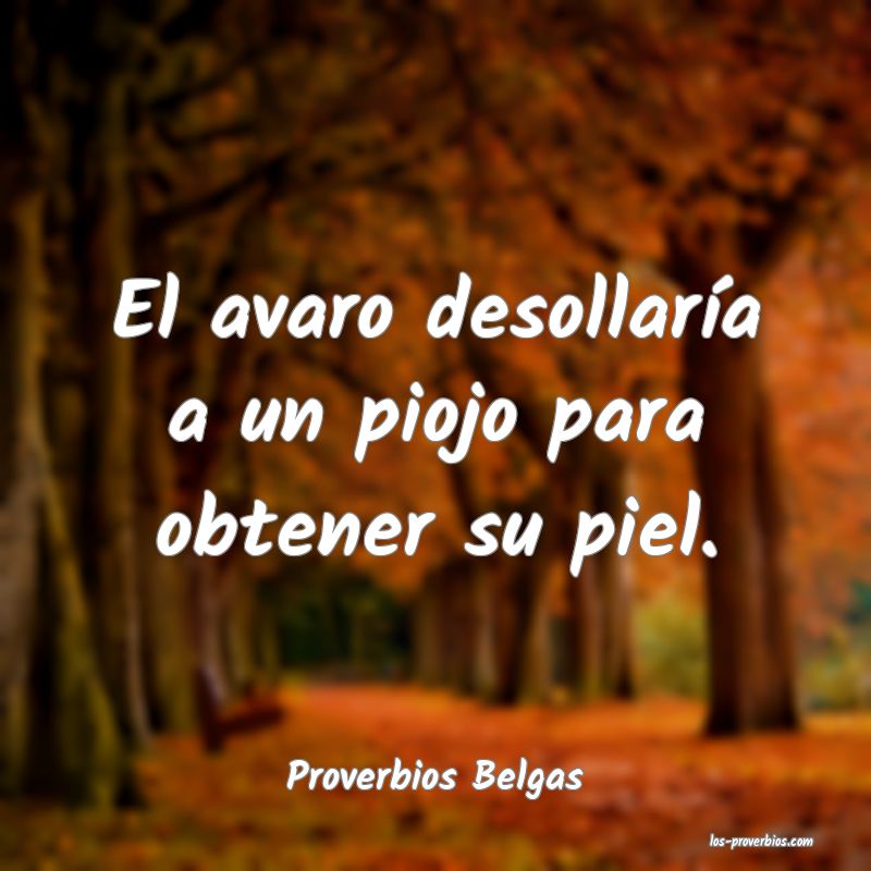 Proverbios Belgas