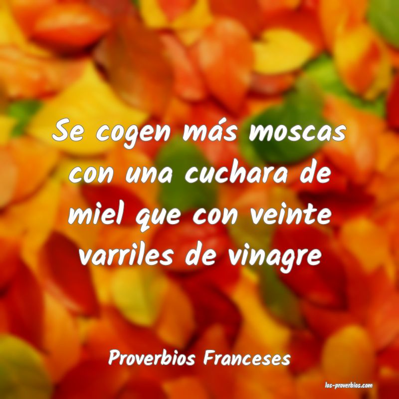 Proverbios Franceses