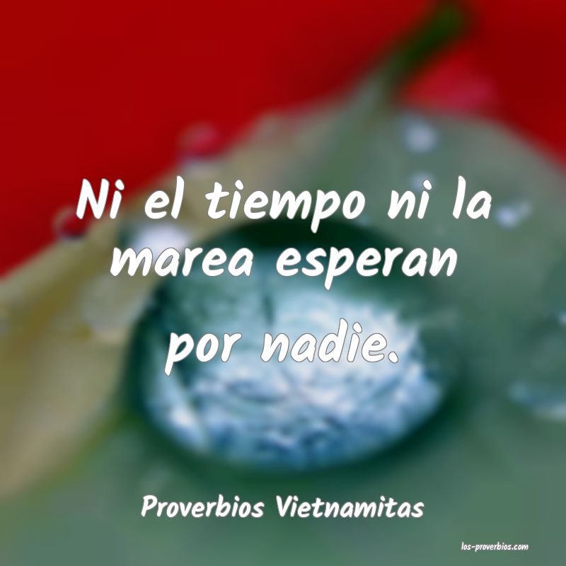 Proverbios Vietnamitas