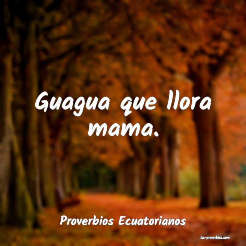 Proverbios Ecuatorianos