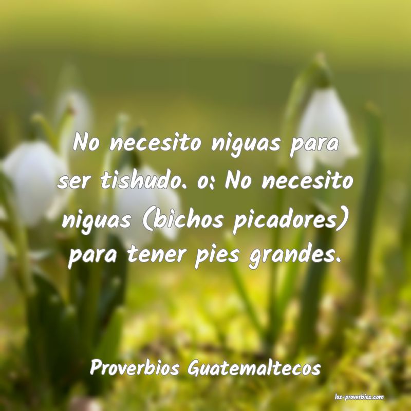 Proverbios Guatemaltecos