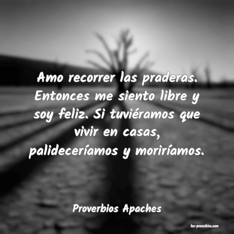 Proverbios Apaches