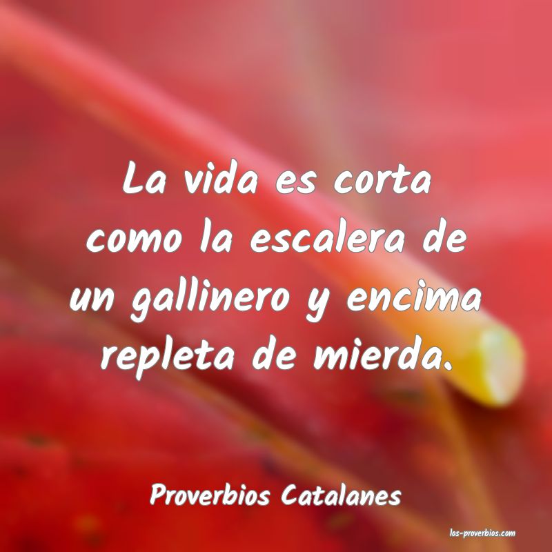 Proverbios Catalanes