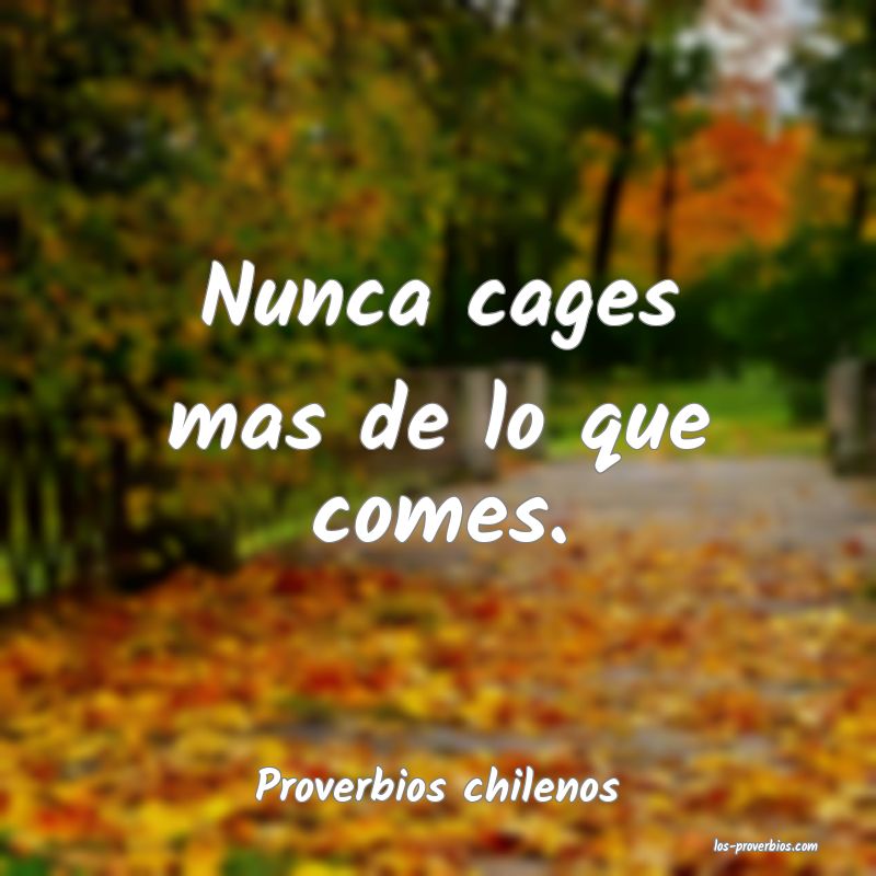 Proverbios chilenos