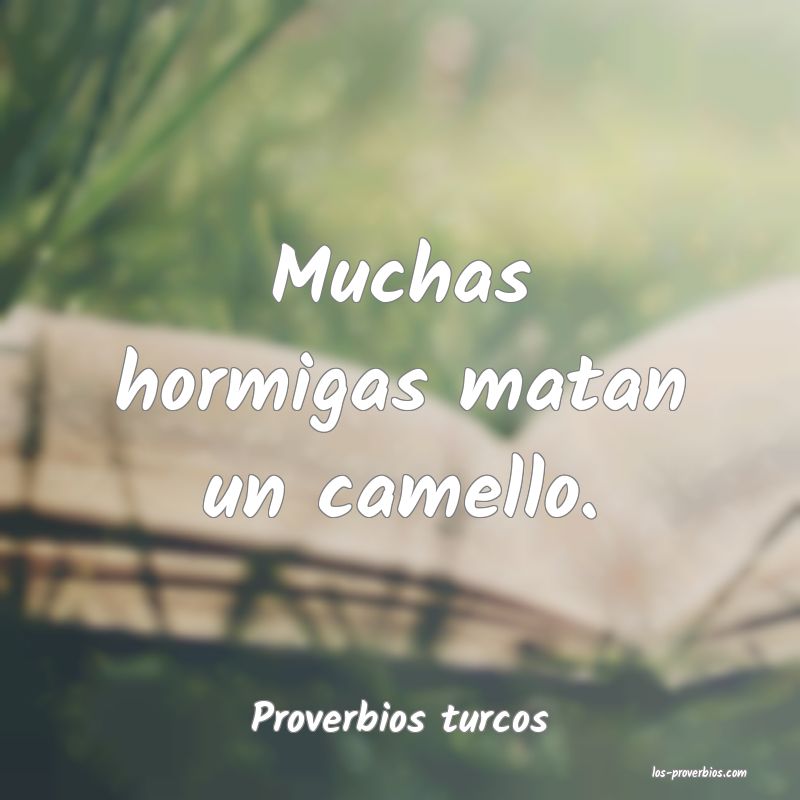 Proverbios turcos