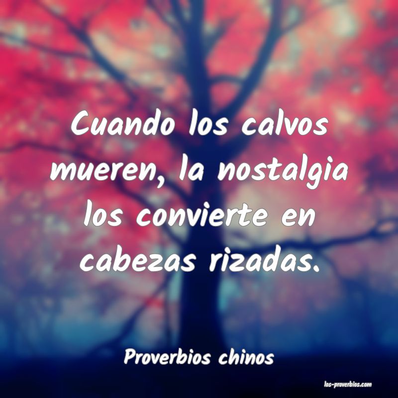 Proverbios chinos