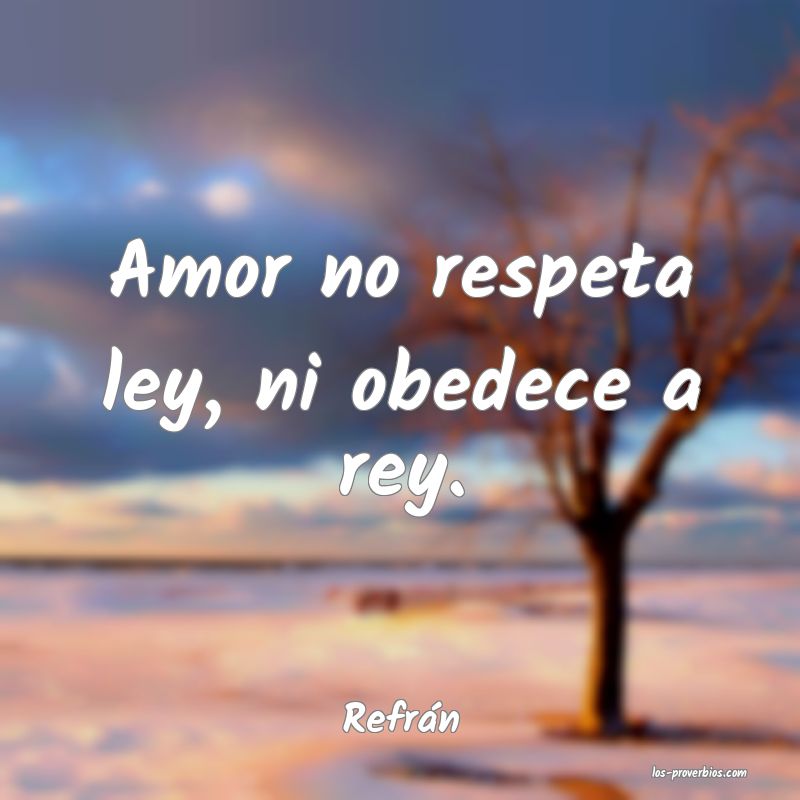 Amor no respeta ley, ni obedece a rey.
...