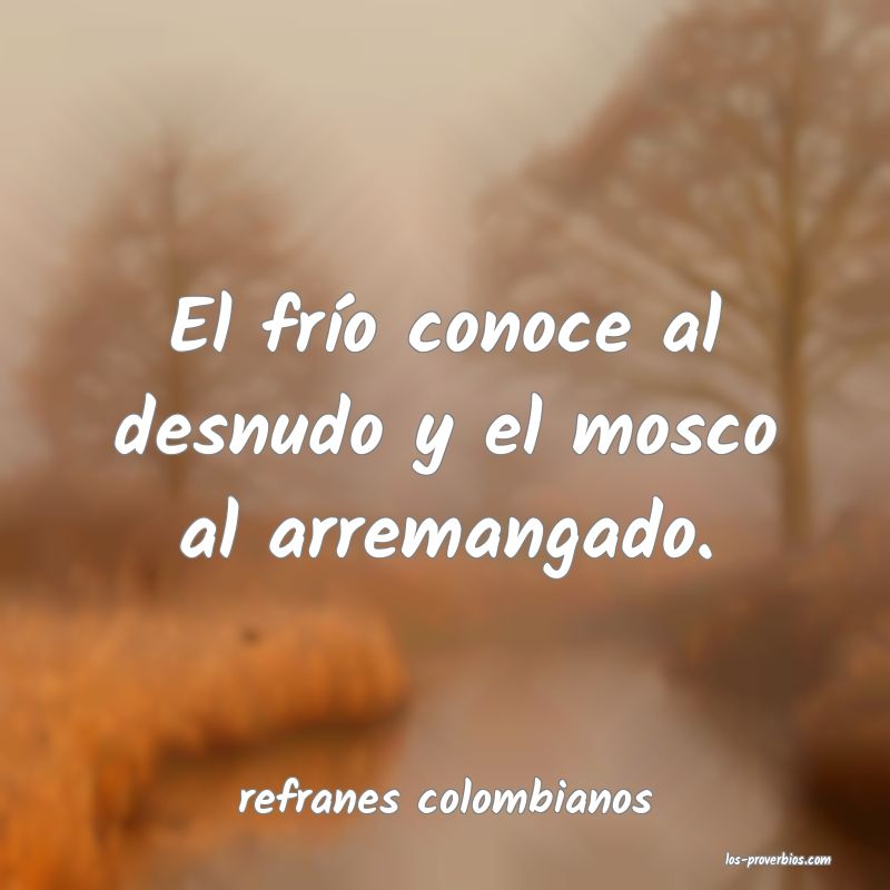 refranes colombianos